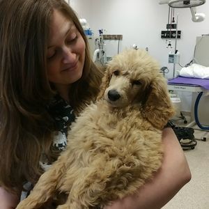 Meet your Posher, Diana